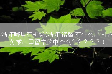 浙江哪里有机场(浙江 诸暨 有什么出国劳务或出国留学的中介么？？？？？)
