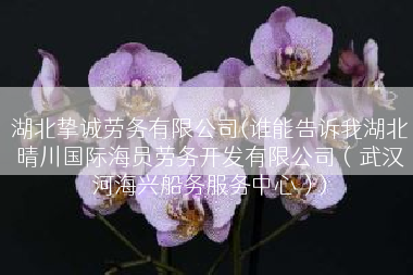 湖北挚诚劳务有限公司(谁能告诉我湖北晴川国际海员劳务开发有限公司（武汉河海兴船务服务中心）)