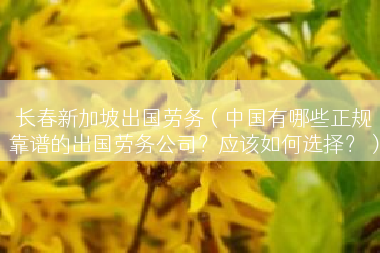 长春新加坡出国劳务（中国有哪些正规靠谱的出国劳务公司？应该如何选择？）