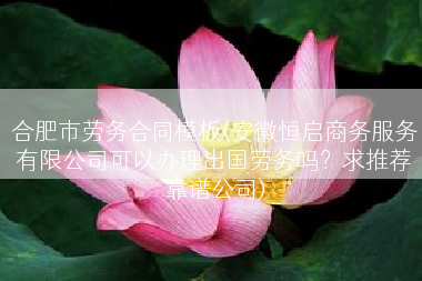 合肥市劳务合同模板(安徽恒启商务服务有限公司可以办理出国劳务吗？求推荐靠谱公司)