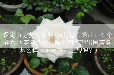 保定市劳务实名制(河北省石家庄市有个裕鼎达劳务派遣有限公司办理出国劳务怎么样？可靠吗？正规吗？)