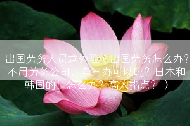 出国劳务人员意外险（出国劳务怎么办？不用劳务公司，自己办可以吗？日本和韩国的！怎么办？高人指点？）