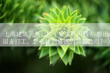 上海建筑劳务公司（家里急用钱？ 想出国去打工，怎么找到靠谱的劳务公司？）