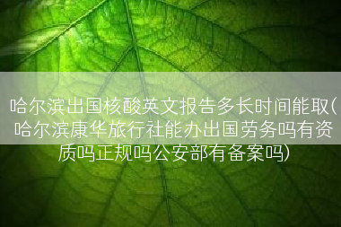 哈尔滨出国核酸英文报告多长时间能取(哈尔滨康华旅行社能办出国劳务吗有资质吗正规吗公安部有备案吗)