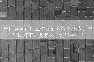 出国劳务正规工作签证（今年45岁，想出国打工，要怎么才能出去？）