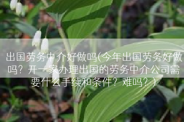 出国劳务中介好做吗(今年出国劳务好做吗？开一家办理出国的劳务中介公司需要什么手续和条件？难吗？)
