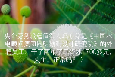 央企劳务派遣值得去吗（我是《中国水电顾问集团昆明勘测设计研究院》的外聘员工，干了两年了工资才1700多元，央企，正常吗？）
