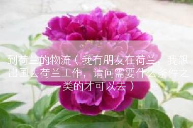 到荷兰的物流（我有朋友在荷兰，我想出国去荷兰工作，请问需要什么条件之类的才可以去）