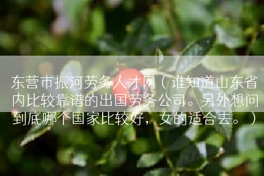 东营市振河劳务人才网（谁知道山东省内比较靠谱的出国劳务公司。另外想问到底哪个国家比较好，女的适合去。）