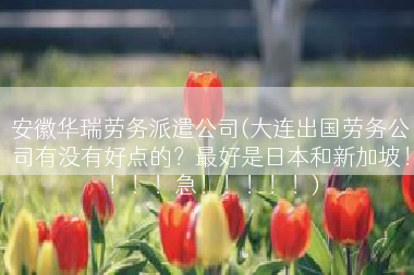安徽华瑞劳务派遣公司(大连出国劳务公司有没有好点的？最好是日本和新加坡！！！！急！！！！！)