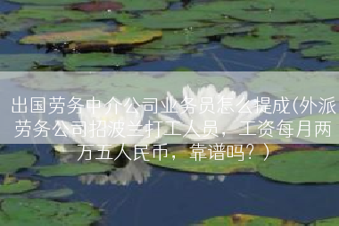 出国劳务中介公司业务员怎么提成(外派劳务公司招波兰打工人员，工资每月两万五人民币，靠谱吗？)
