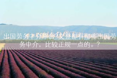 出国劳务中介平台?文登都有那些出国劳务中介，比较正规一点的。?
