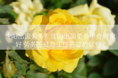 沈阳出国劳务？沈阳出国劳务中介哪家好 劳务签证与工作签证的区别？