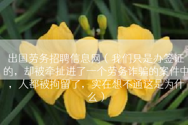 出国劳务招聘信息网（我们只是办签证的，却被牵扯进了一个劳务诈骗的案件中，人都被拘留了，实在想不通这是为什么）