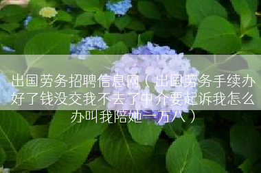 出国劳务招聘信息网（出国劳务手续办好了钱没交我不去了中介要起诉我怎么办叫我陪她一万八）