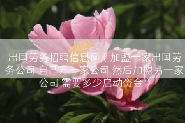 出国劳务招聘信息网（加盟一家出国劳务公司 自己开一家公司 然后加盟另一家公司 需要多少启动资金）