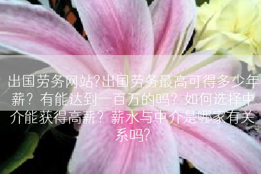 出国劳务网站?出国劳务最高可得多少年薪？有能达到一百万的吗？如何选择中介能获得高薪？薪水与中介是哪家有关系吗?