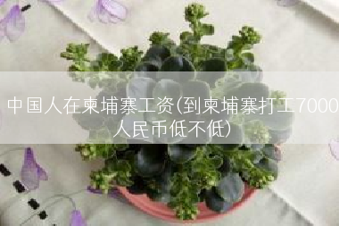中国人在柬埔寨工资(到柬埔寨打工7000人民币低不低)