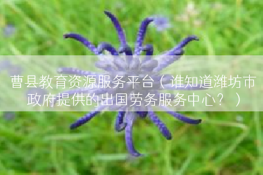 曹县教育资源服务平台（谁知道潍坊市政府提供的出国劳务服务中心？）
