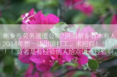 新乡市劳务派遣公司?河南新乡有木有人2014年想一块出国打工，求陪同！！！！！！或者是有经验的人给点讲点经验啊。。。。。。?