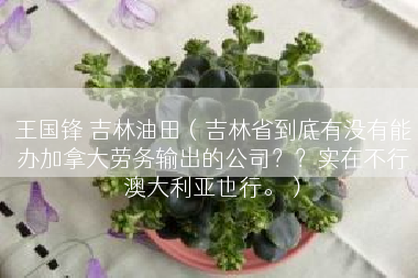 王国锋 吉林油田（吉林省到底有没有能办加拿大劳务输出的公司？？实在不行澳大利亚也行。）