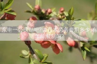 东电一公司贴吧?去日本劳务费用多少,有年龄限制吗?