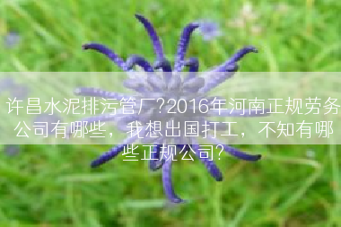 许昌水泥排污管厂?2016年河南正规劳务公司有哪些，我想出国打工，不知有哪些正规公司?