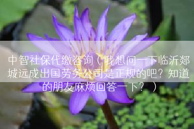 中智社保代缴咨询（我想问一下临沂郯城远成出国劳务公司是正规的吧？知道的朋友麻烦回答一下？）