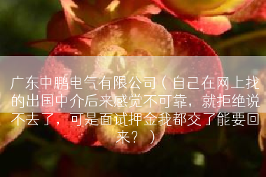 广东中鹏电气有限公司（自己在网上找的出国中介后来感觉不可靠，就拒绝说不去了，可是面试押金我都交了能要回来？）