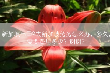 新加坡出国?去新加坡劳务怎么办，多久，需要费用多少？谢谢?