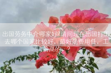 出国劳务中介哪家好?请问现在出国打工，去哪个国家比较好，最好是费用低，工薪高的。?