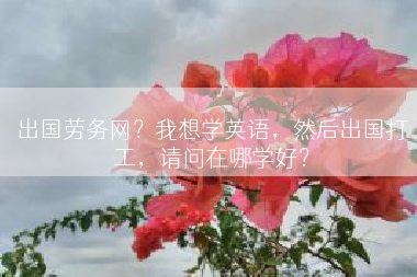 出国劳务网？我想学英语，然后出国打工，请问在哪学好？