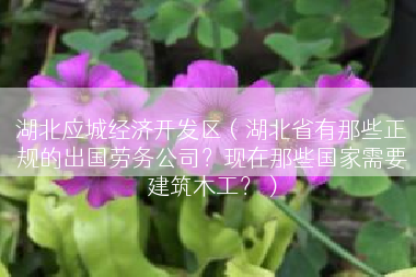 湖北应城经济开发区（湖北省有那些正规的出国劳务公司？现在那些国家需要建筑木工？）