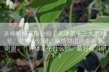 圣坤机械有限公司（天津第十三大街78号，是哪个公司，麻烦知道的告诉下，谢谢。！具体是干什么的，最好都说明下）
