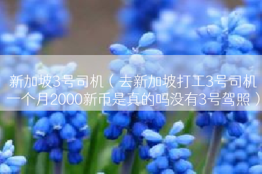 新加坡3号司机（去新加坡打工3号司机一个月2000新币是真的吗没有3号驾照）