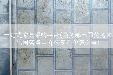 一站式家具采购平台(商务部出国劳务网出国劳务中介公司名单怎么查)