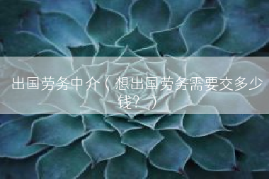 出国劳务中介（想出国劳务需要交多少钱？）