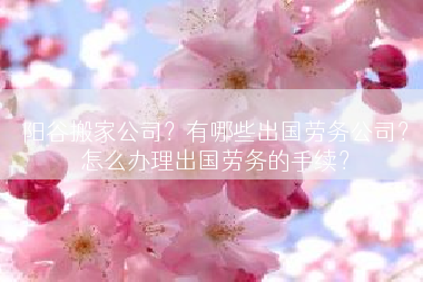阳谷搬家公司？有哪些出国劳务公司？怎么办理出国劳务的手续？