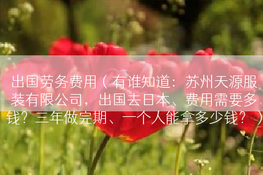 出国劳务费用（有谁知道：苏州天源服装有限公司，出国去日本、费用需要多钱？三年做完期、一个人能拿多少钱？）
