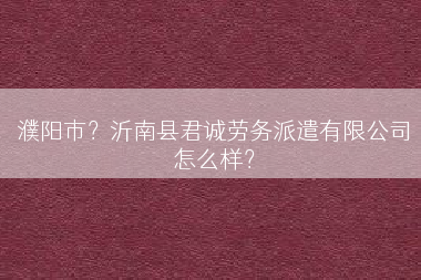 濮阳市？沂南县君诚劳务派遣有限公司怎么样？