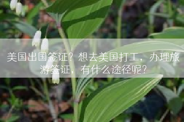 美国出国签证？想去美国打工，办理旅游签证，有什么途径呢？