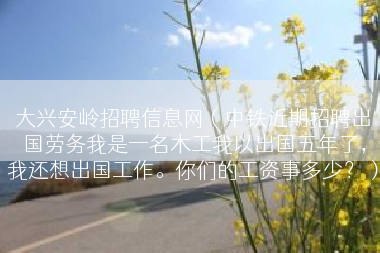 大兴安岭招聘信息网（中铁近期招聘出国劳务我是一名木工我以出国五年了，我还想出国工作。你们的工资事多少？）
