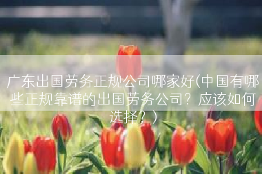 广东出国劳务正规公司哪家好(中国有哪些正规靠谱的出国劳务公司？应该如何选择？)