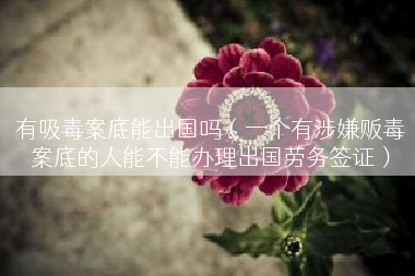 有吸毒案底能出国吗（一个有涉嫌贩毒案底的人能不能办理出国劳务签证）