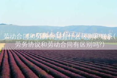劳动合同和劳务合同有什么区别和联系(劳务协议和劳动合同有区别吗?)
