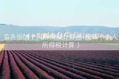 劳务报酬个人所得税计算器(反算（个人所得税计算）