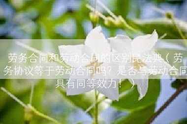 劳务合同和劳动合同的区别民法典（劳务协议等于劳动合同吗？是否与劳动合同具有同等效力！）