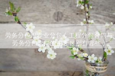 劳务分包跟专业分包（工程分包合同与劳务分包合同的主要区别有哪些）
