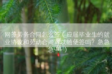 网签劳务合同怎么签（应届毕业生的就业协议和劳动合同可以随便签吗？急急急~~~）