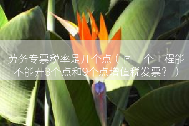劳务专票税率是几个点（同一个工程能不能开3个点和9个点增值税发票？）